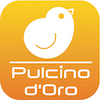 Pulcino D'Oro