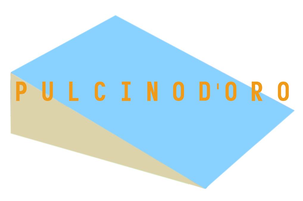 SCIVOLO 20